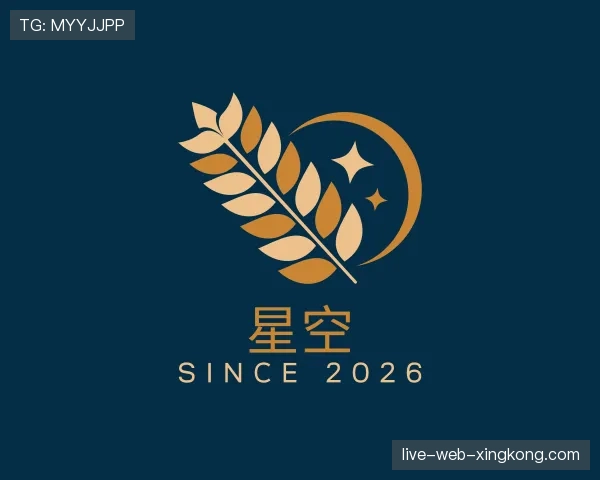 了解星空世界杯